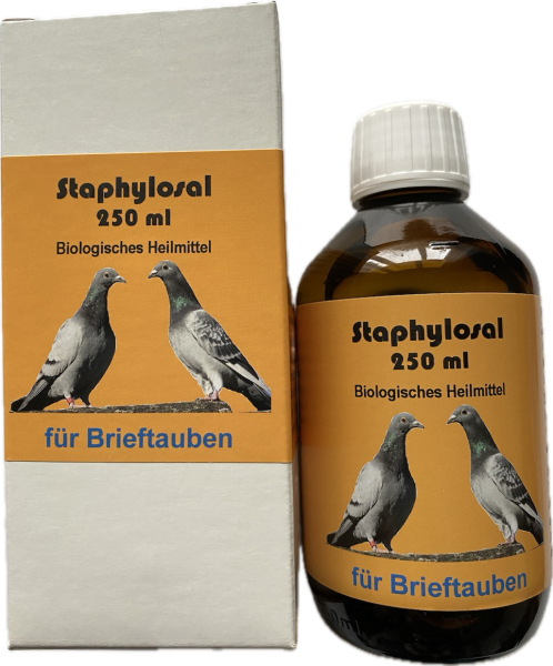 Staphylosal für brieftauben